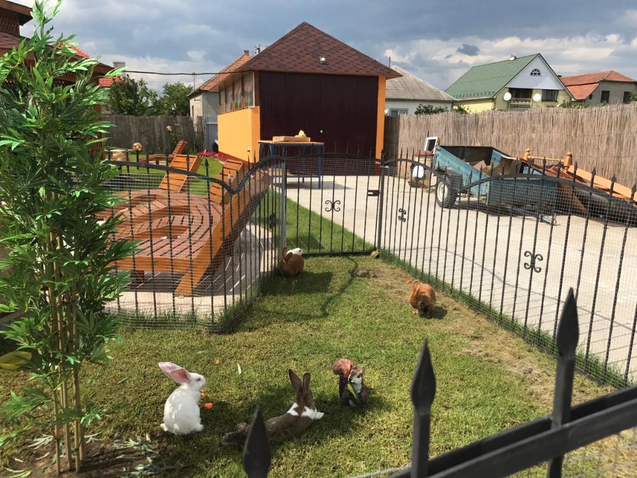 Villa Eden Delux Makkosjánosi Kültér fotó